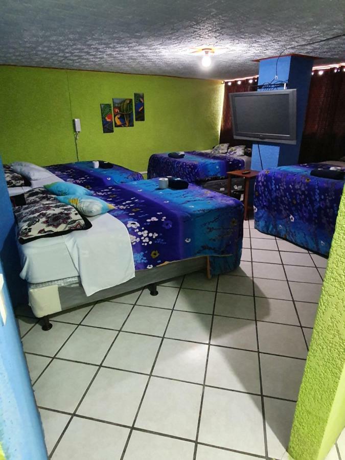 Hotel Kasa Kamelot 2 克萨尔特南戈 外观 照片