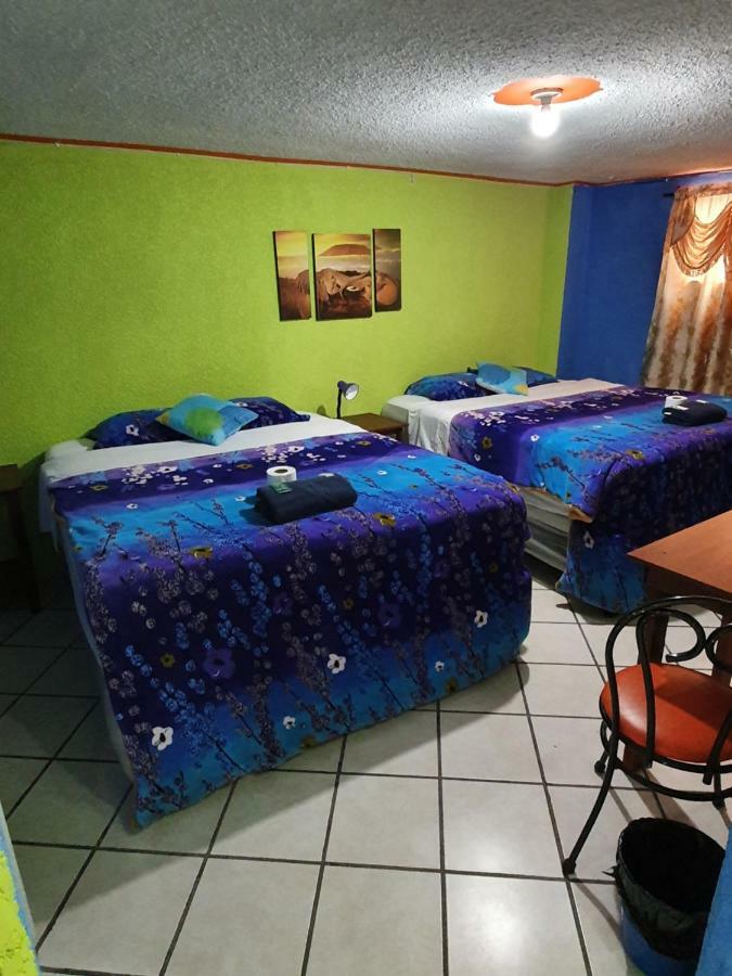 Hotel Kasa Kamelot 2 克萨尔特南戈 外观 照片