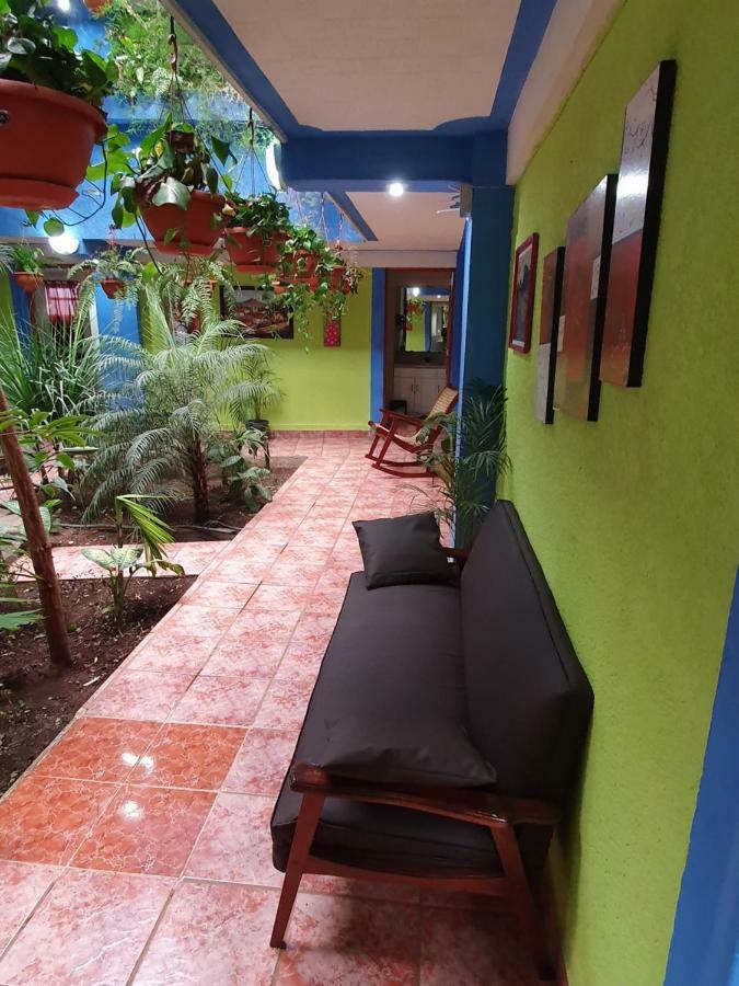Hotel Kasa Kamelot 2 克萨尔特南戈 外观 照片